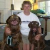 My Life with Special Needs Dogs LulaPamLouie