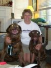 My Life with Special Needs Dogs LulaPamLouie