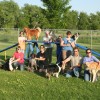 Fearful Dogs – Methods for Dealing with them Louie's Agility Class