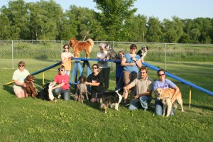 Louie's Agility Class. Agility can help fearful dogs by providing them with confidence and a job.