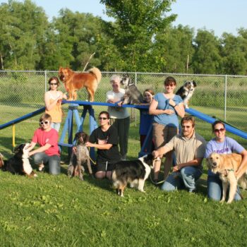 Fearful Dogs – Methods for Dealing with them Louie's Agility Class