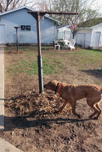 Radar with wood chip marked post