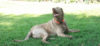 Two Seizures, Now What? Radar in backyard