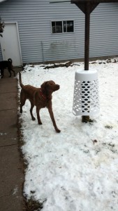 Radar testing his "Pole Bell"