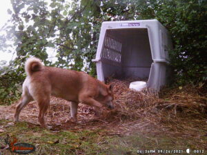 Sep25 Crate with bowl