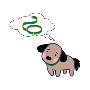 A brown and black dog with a green collar has leash anxiety