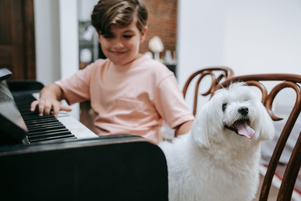 A young boy plays piano while sitting next to his small white dog.