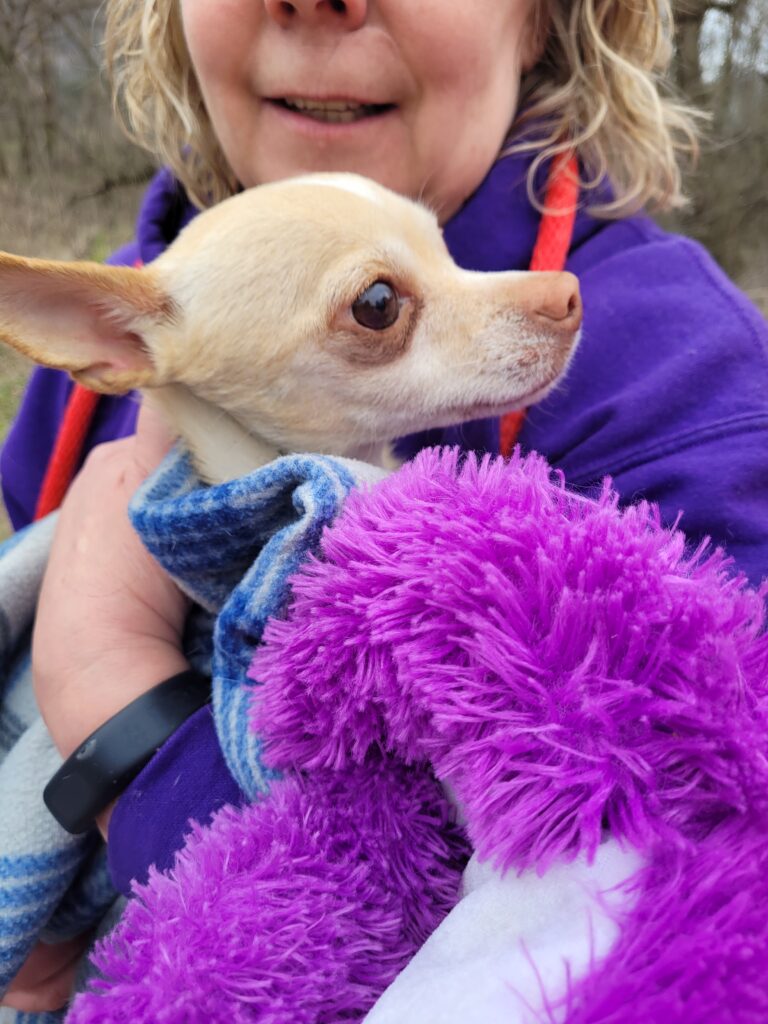 Peanut’s (the Chihuahua) Journey – April 2022