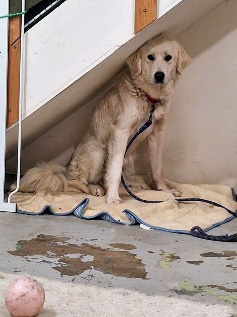 Sheila capture day in her decompression safe place