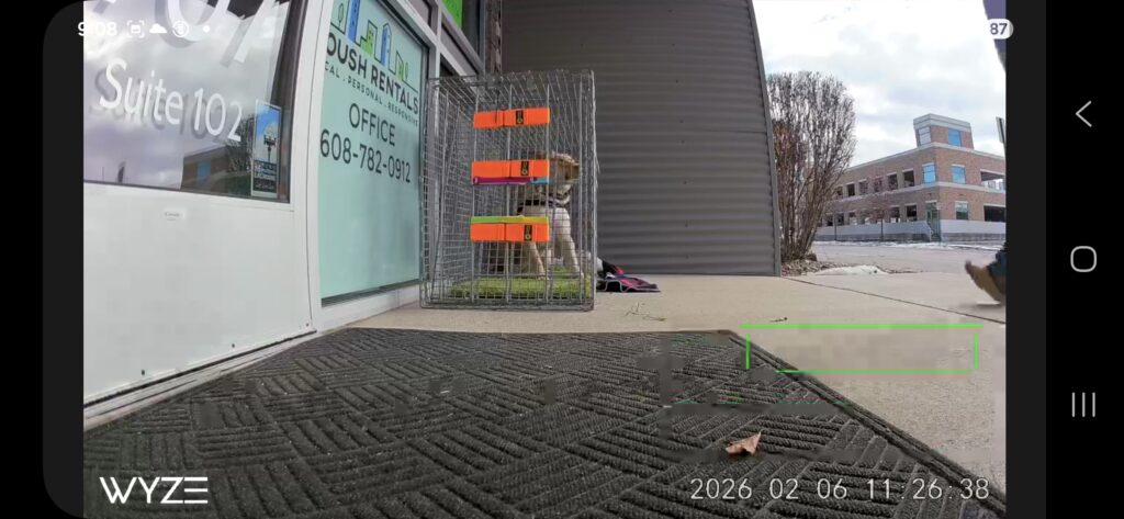 Loulou safe and secure within the Office Trap