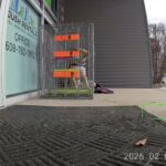 Loulou safe and secure within the Office Trap