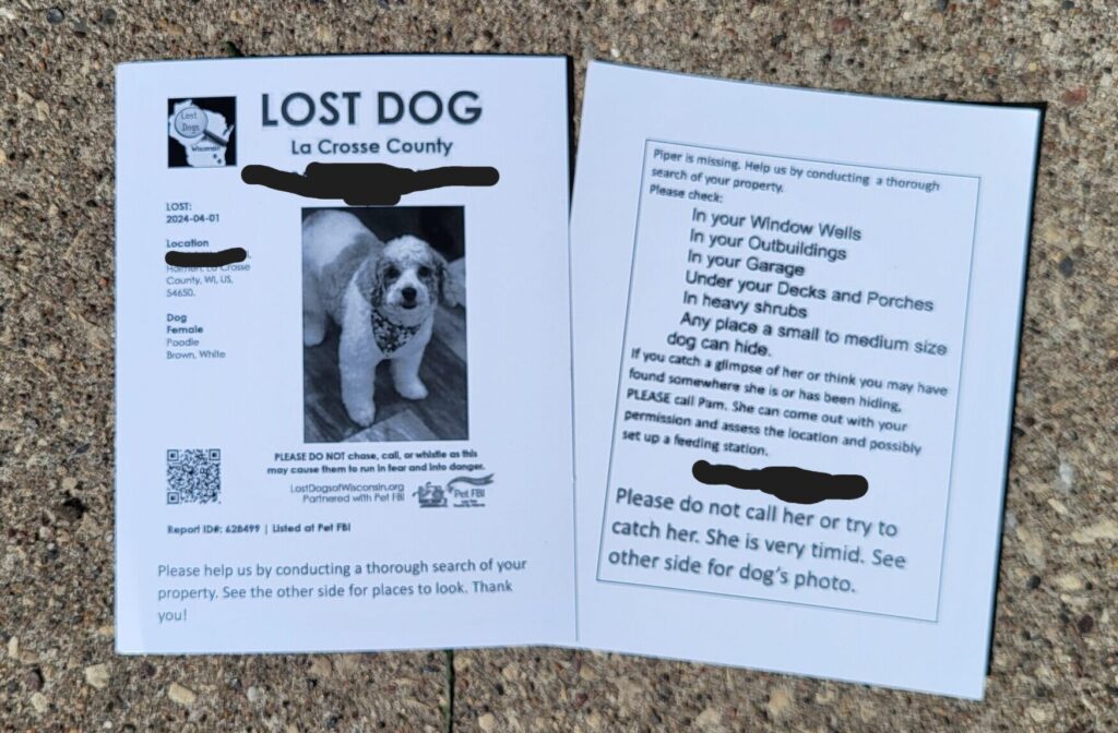Lost dog flyers distributed door to door and to business are also extremely effective.