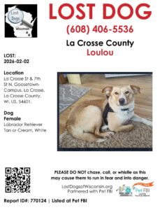 Lost Dog Flyer